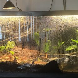 Custom Terrariums