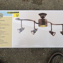 Ceiling light very cool