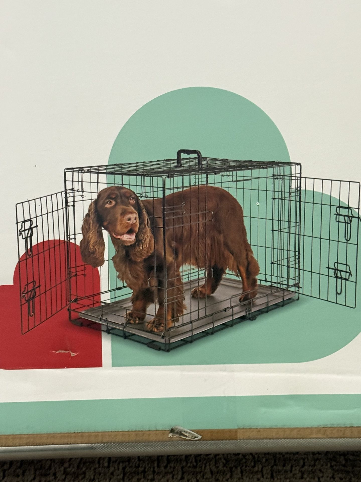 Jaula Para Perro Pequeño Cage For Small Dogs