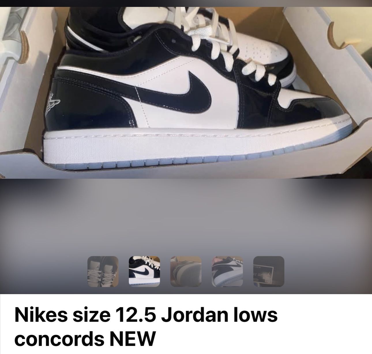 Brand New Nike Concords. Paid $225 Asking $150