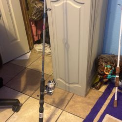 Genesis Rod And Reel