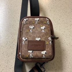 Coach Snoopy Bag 