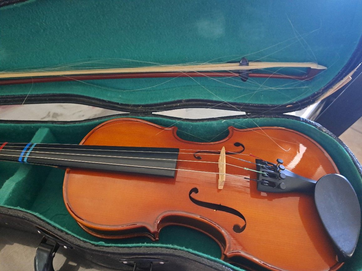 🎻 Violin