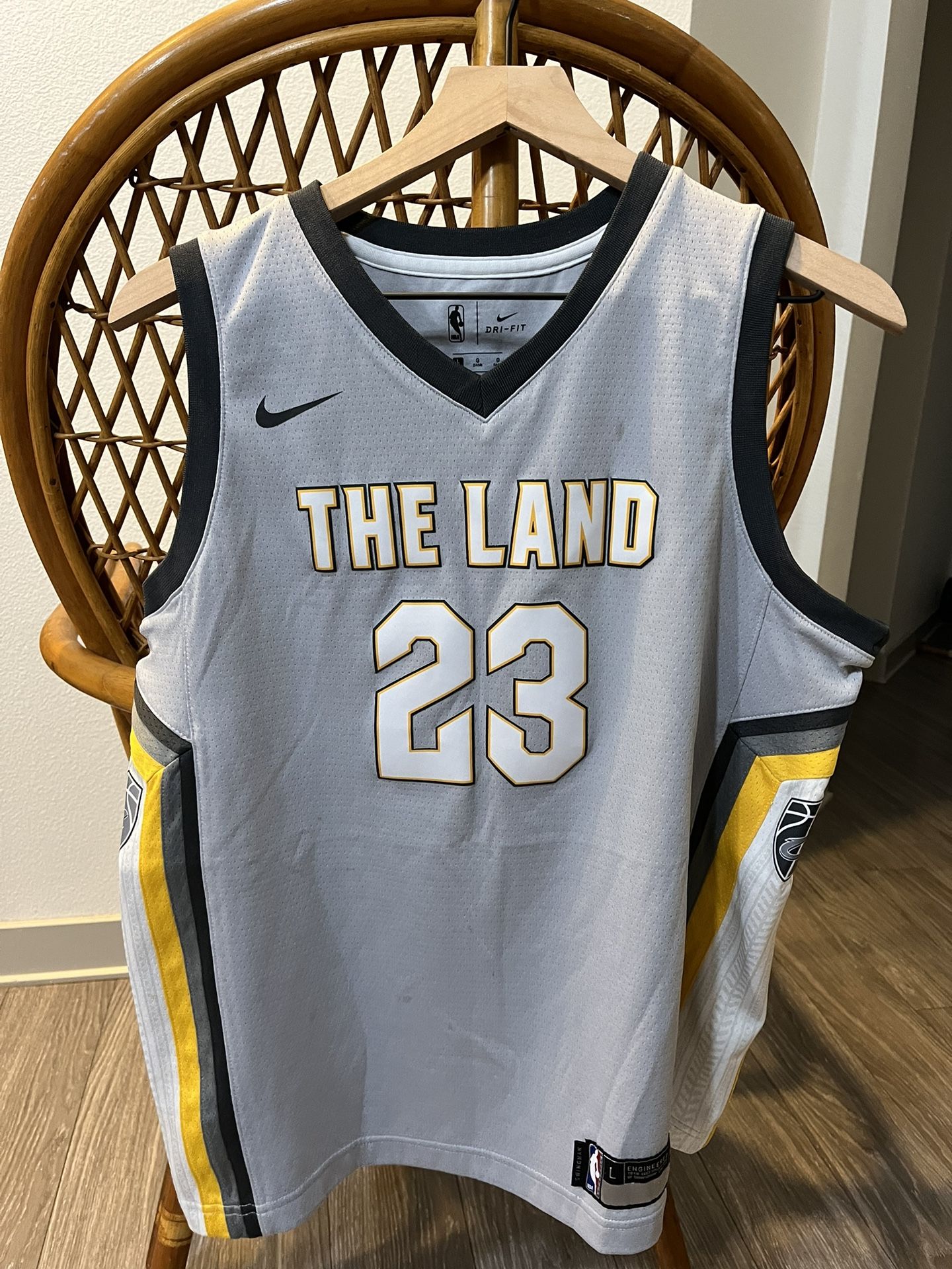 Lebron James “The Land” Jersey Gray Cleveland Cavaliers (size: Youth Large)