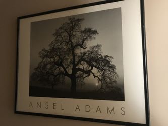 Framed Ansel Adams print