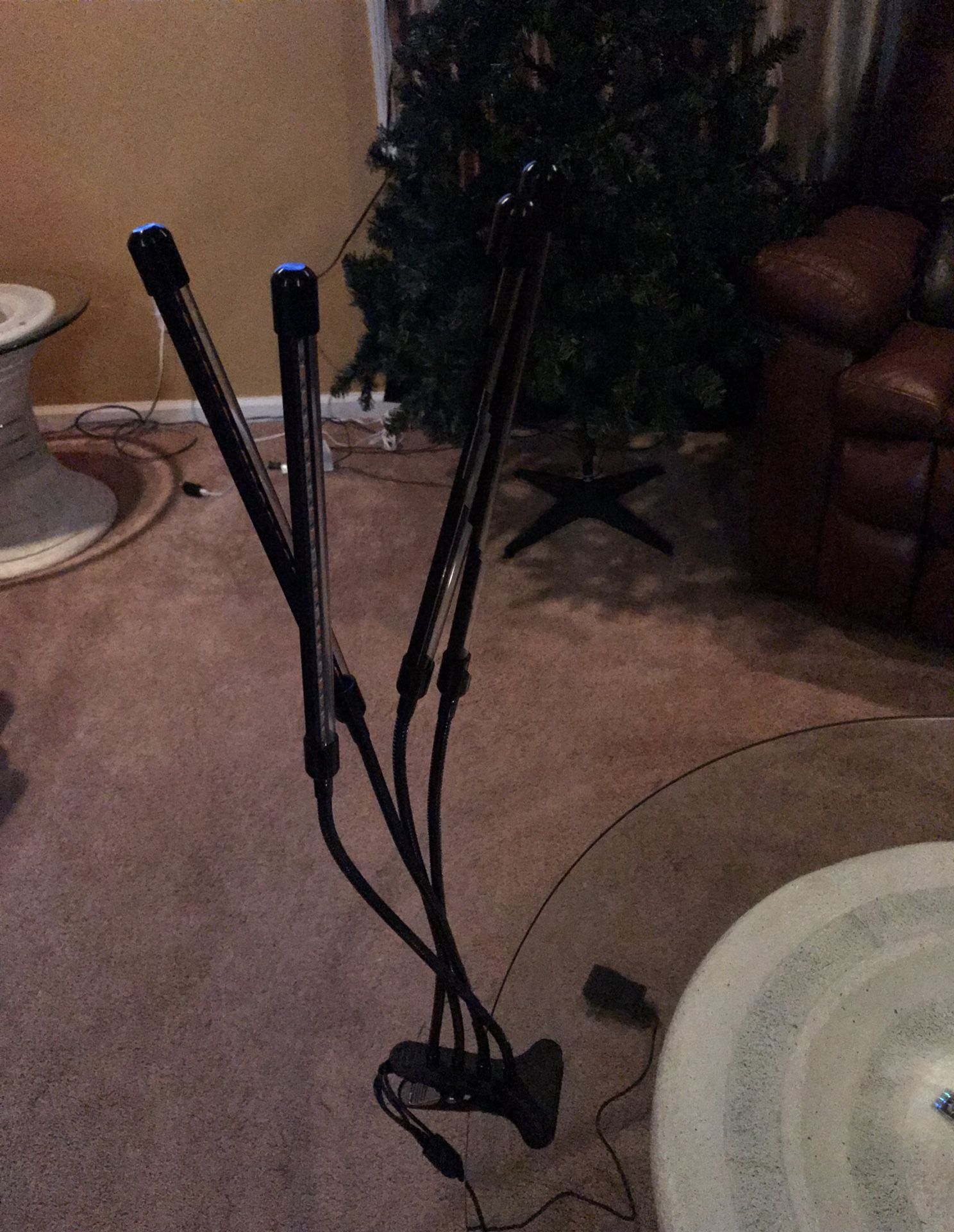 LED growlights, Grow Indoors