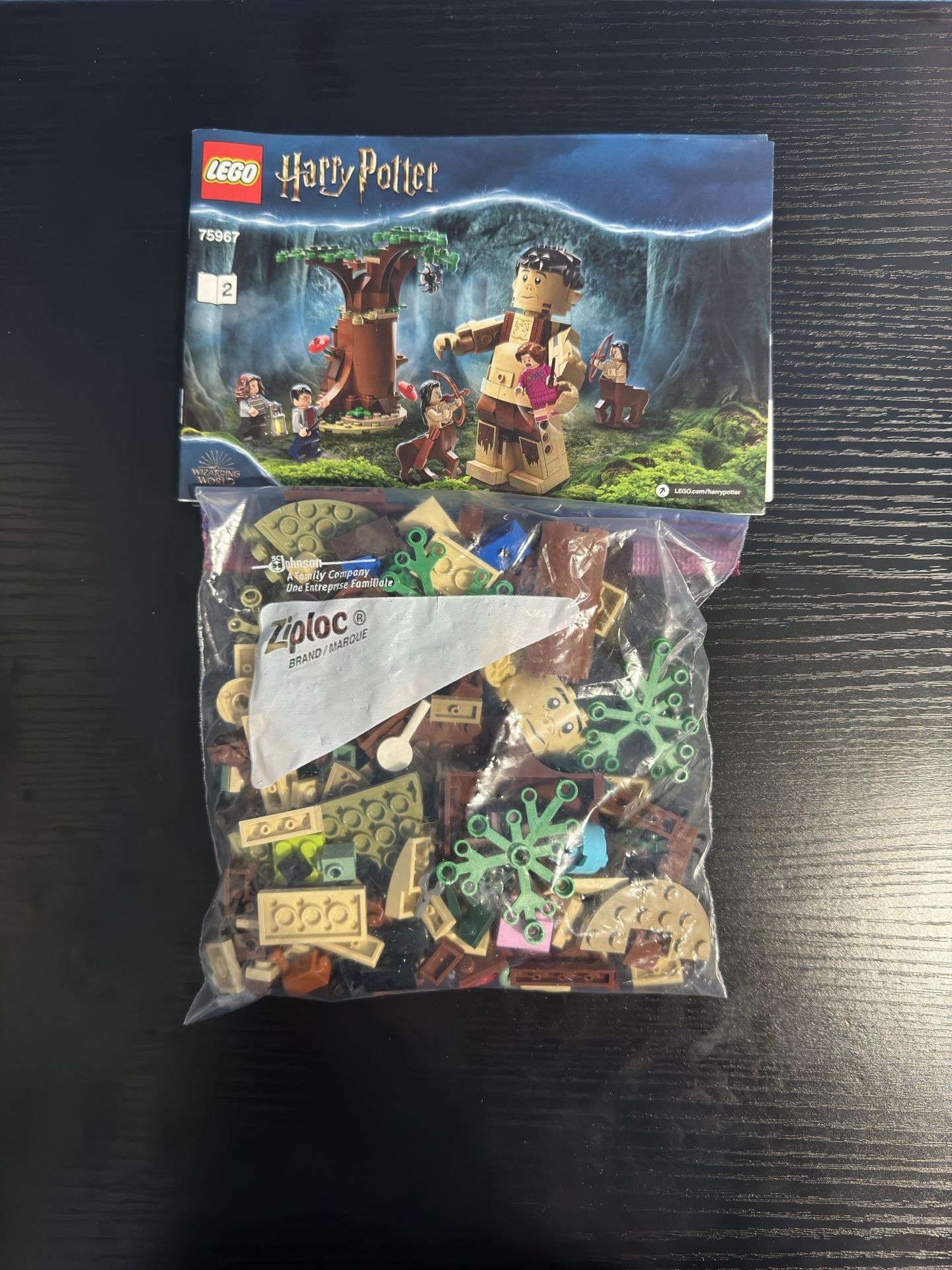 LEGO HARRY POTTER 75967: Forbidden Forest: Umbridge's Encounter