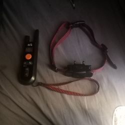 Electrical Dog Collard