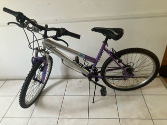 $80, Magna Great Divide Women’s Bike