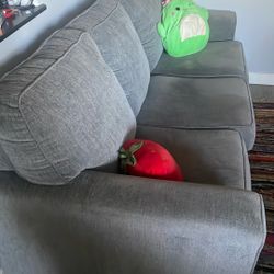 Gently Used Comfy Couch