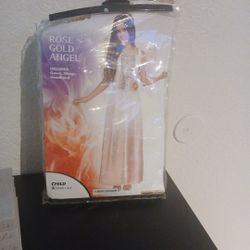 Rose Angel Costum 