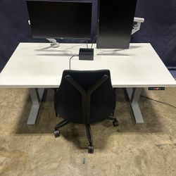 Herman Miller Fully Loaded Sayl Chair! We Also Have Standing Desk And Monitor Arms Available!