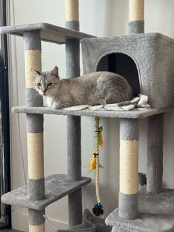 Cat tree