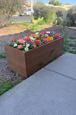 Flower Boxes 