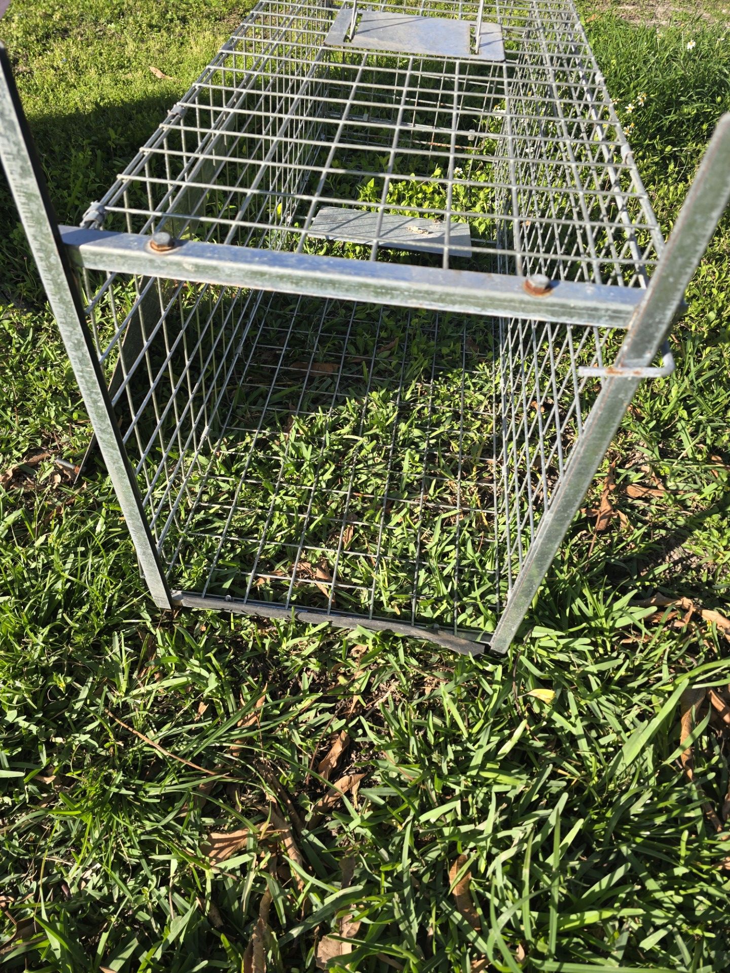 Coyote Large animal trap
