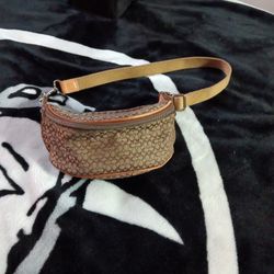 Women's Coach Purse