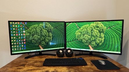 Dual LG  Monitors Setup,black