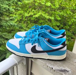 Nike Dunk lows Size 14