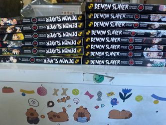 Demon slayer books