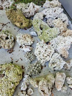 Marine Aquarium Live Rock Assorted Porous Reef Rock Pieces Bulk Lot