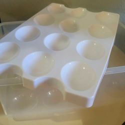 Egg Tray