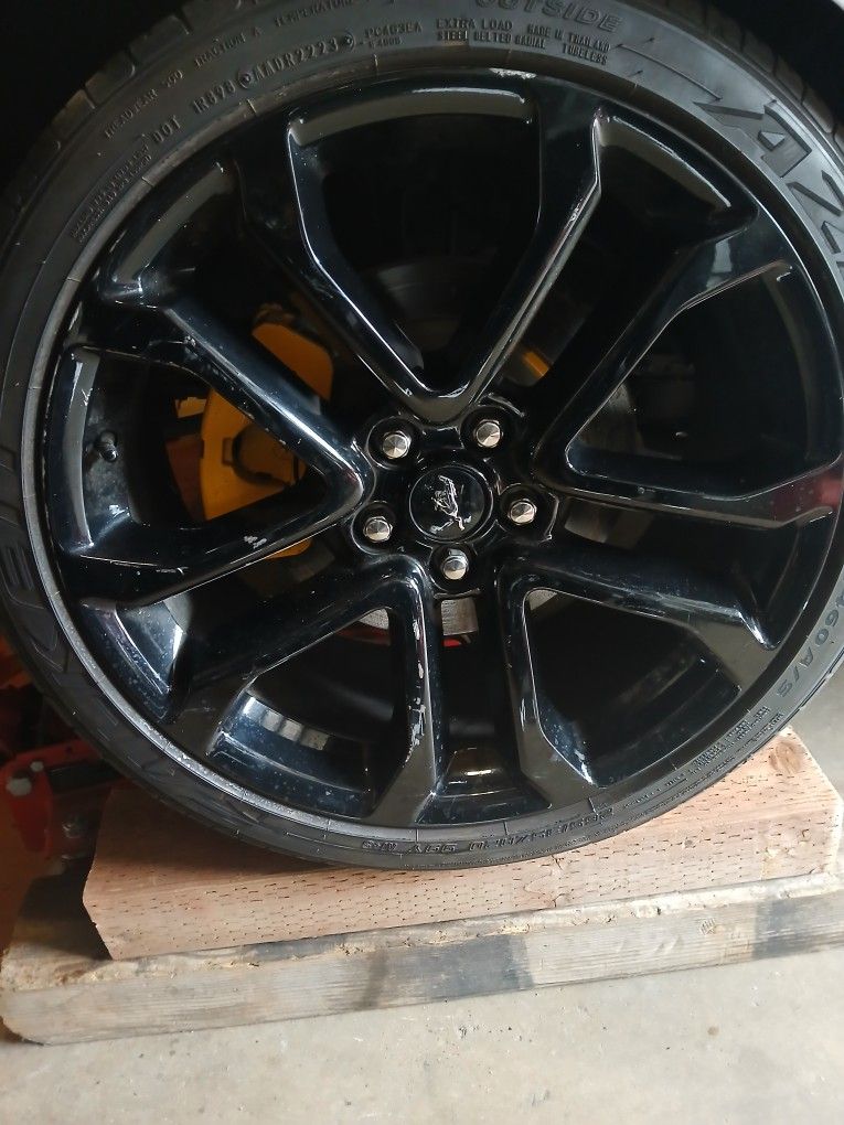 Parts For Mustang 2012