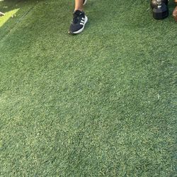 Artificial Grass (2)