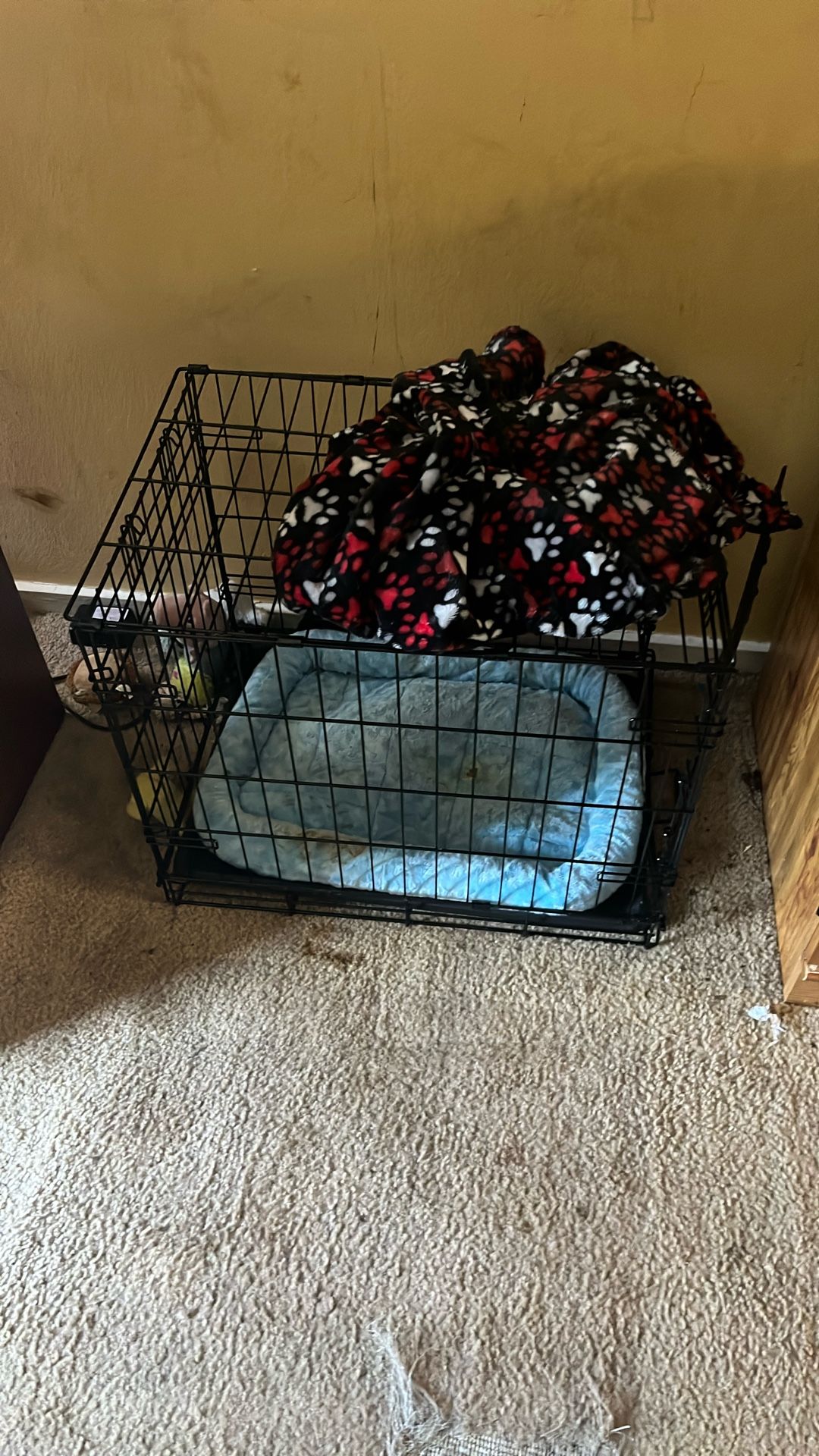 Dog Cage And Other Accessories