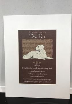 Matted Print advice From a Dog
