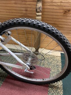 Fuji Odessa 2.0 21 Speed 26 Aluminum frame Step Through Bike for Sale in Rock Hill SC OfferUp