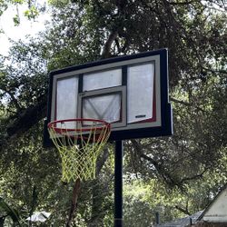 Basketball Hoop 