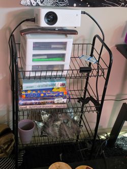 Portable shelves