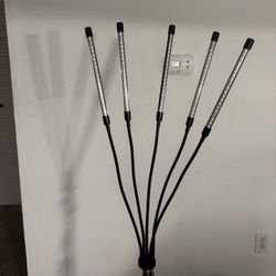 LED Grow Light. 
