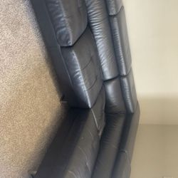 Two Couches 