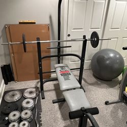 Weider 150 Weight Bench Weights for Sale in Carol Stream IL OfferUp