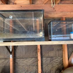 Fish Tanks