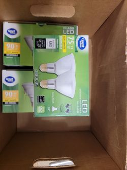 LED Flood Light Bulbs