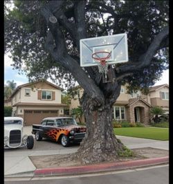 basketball hoop
