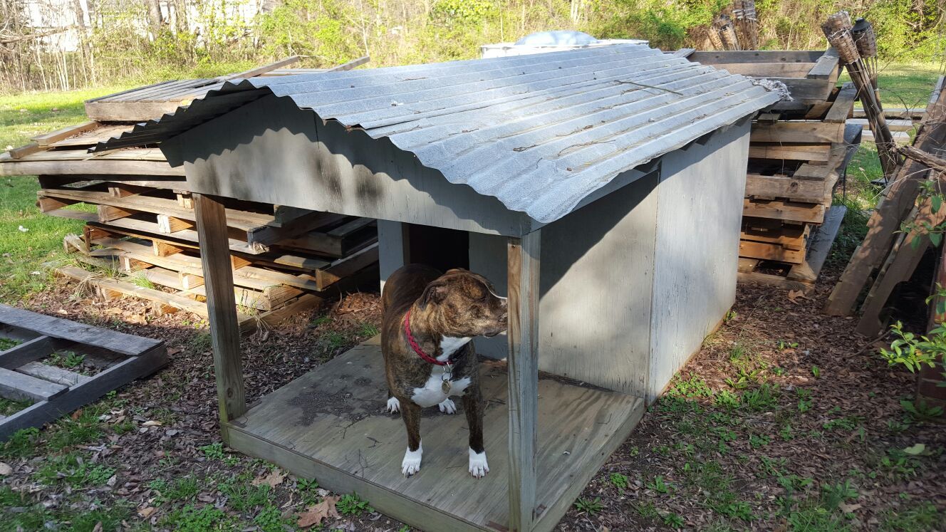 Handmade extra large dog house