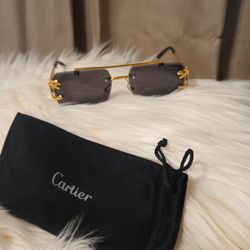 New Designer Sunglasses 