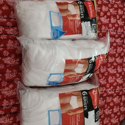 Hanes 6 pack tagless briefs