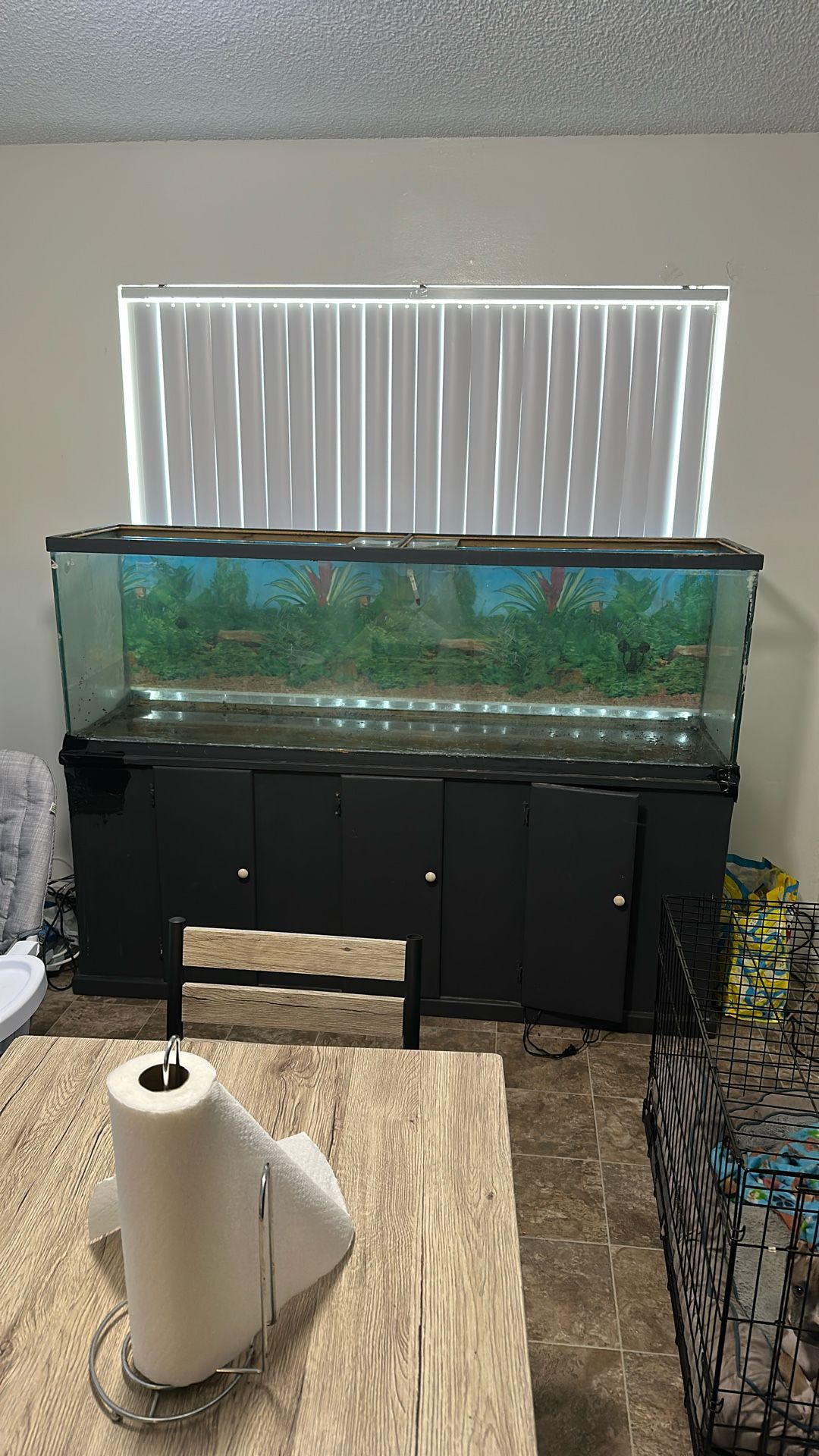 150 Gallons Fish Tank Need Gone Today