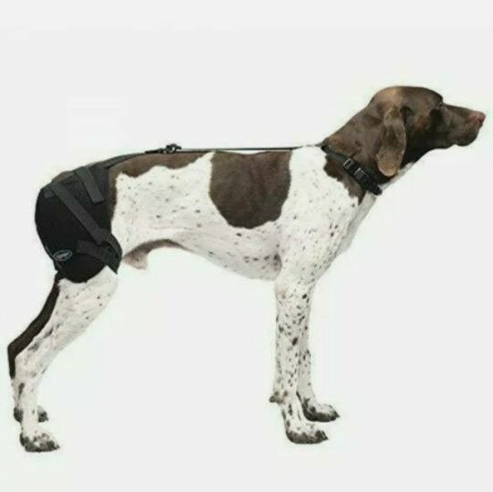 Caldera Hot & Cold Hip Pet Therapy Wrap w/ Therapy Gel Medium PET203