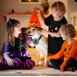 Halloween dog collar flowers Halloween dog charms 