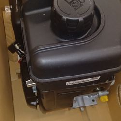 New Crate Engines BRIGGS