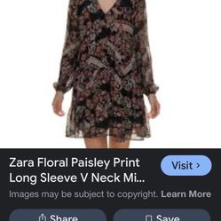 Zara Zara Metallic Thread Paisley Print Boho Mini Dress NWT