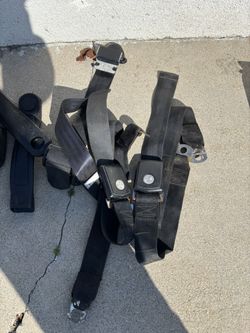2-Point Seat Belt