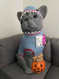 Frenchie, Shark Suit Halloween Decor