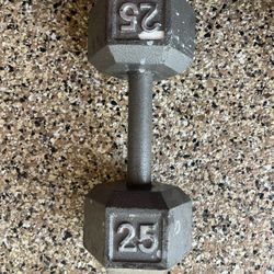 25lbs Weight