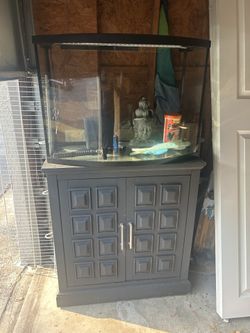 55 gallon tank setup with furniture stand